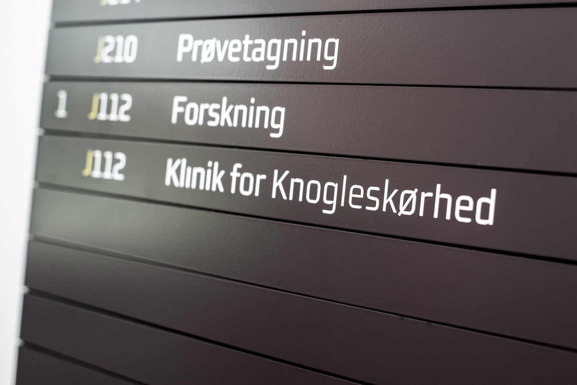 Forskning i osteoporose