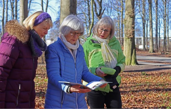 kogebogen Sunde knogler - naturligt mad